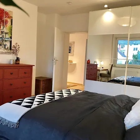 Homey 1br Business Apartment, Sofa Bed, Fast Wifi, Free Parking, Near Basf *