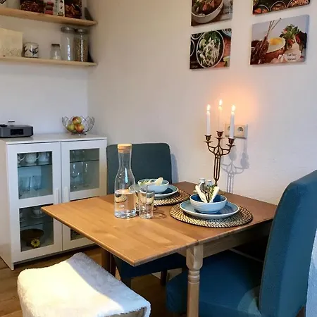 Homey 1br Business Apartment, Sofa Bed, Fast Wifi, Free Parking, Near Basf