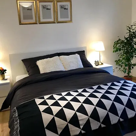 Homey 1br Business Apartment, Sofa Bed, Fast Wifi, Free Parking, Near Basf Ludwigshafen